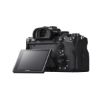 Picture of Sony Alpha a7R IV Mirrorless Digital Camera (Body Only)