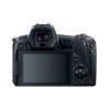 Picture of Canon EOS R Mirrorless Digital Camera with 24-105mm Lens