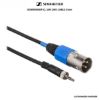 Picture of Sennheiser CL-100 1/8"-Male Mini Jack to XLR-Male Connector Cable