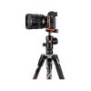 Picture of Manfrotto Befree Advanced Travel Aluminum Tripod with 494 Ball Head (Lever Locks, Sony Alpha Edition)