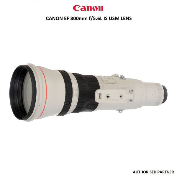 Canon EF 800mm f/5.6L IS USM Lens | Future Forward