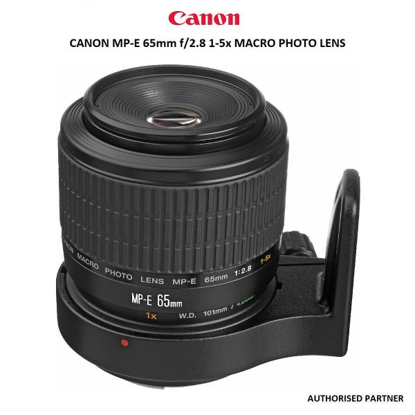 Canon MP-E 65mm f/2.8 1-5x Macro Photo Lens | Future Forward