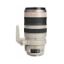Picture of Canon EF 28-300mm f/3.5-5.6L IS USM Lens