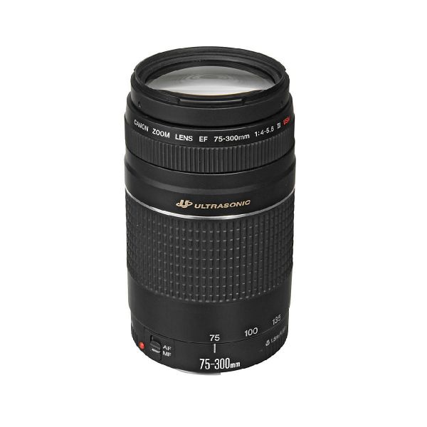 Picture of Canon EF 75-300mm f/4-5.6 III Lens