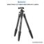 Picture of Benro Travel Flat C1190T 5-Section Carbon Fiber Tripod