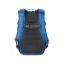 Picture of Lowepro RidgeLine Pro BP 300 AW (Horizon Blue/Traction)