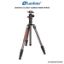 Picture of Leofoto LN-254CT Carbon Fiber Tripod