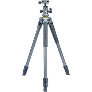 Picture of Vanguard Alta Pro 2 263AB100 Aluminum-Alloy Tripod with BH-100 Ball Head Kit