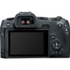 Picture of Canon EOS R8 Mirrorless Camera