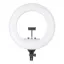 Picture of Digitek Platinum Ring Light DPRL 19 H